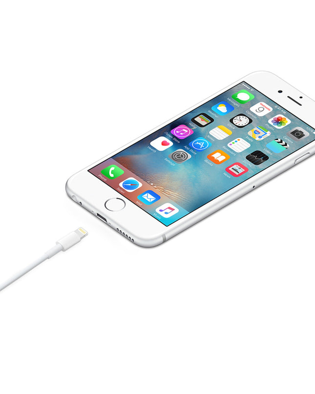 Apple Laaddata Light 1mt Mxly2