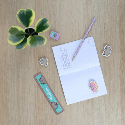 Pusheen Notitie Set in Etui Mint/Roze