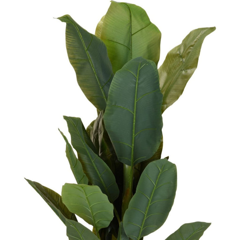 Kunstplant Bananenboom 80x165 cm Groen